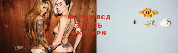 ГАЛЛЮЦИНОГЕННЫЕ ГРИБЫ Приозерск