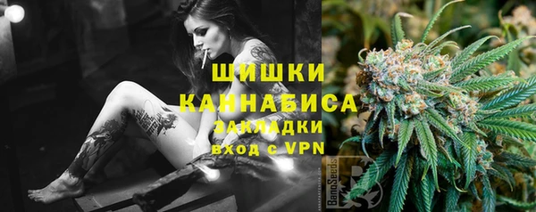 ГАЛЛЮЦИНОГЕННЫЕ ГРИБЫ Приозерск