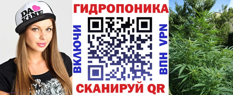 Марихуана семена  Купить закладки  Дубовка 